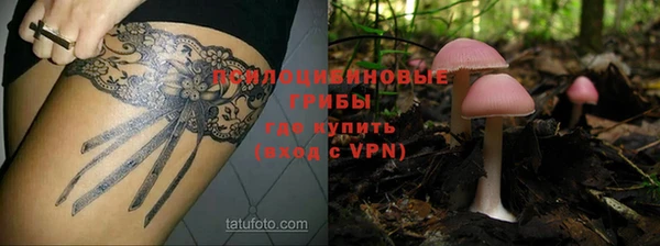 кокаин Новозыбков
