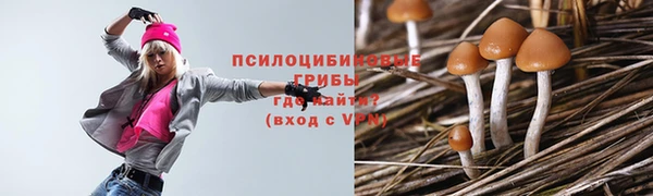 Альфа ПВП Новокубанск