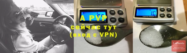 Альфа ПВП Новокубанск