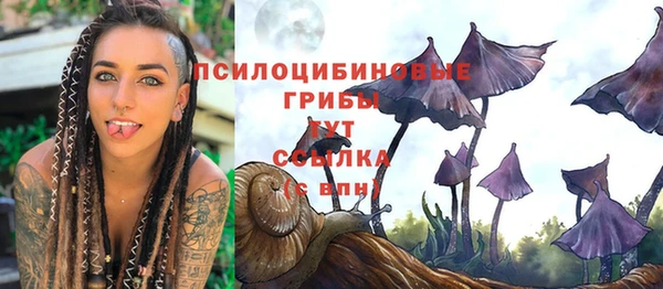 кокаин Новозыбков