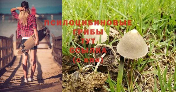 Альфа ПВП Новокубанск