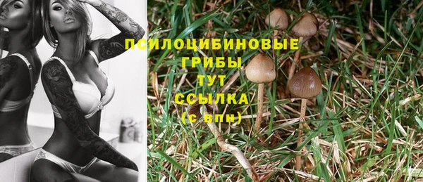 Альфа ПВП Новокубанск