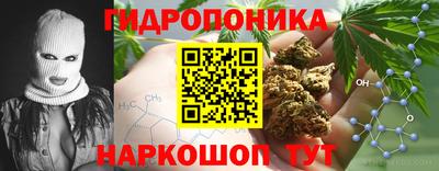 гидра Изобильный