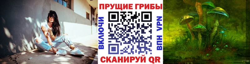 Псилоцибиновые грибы прущие грибы  кракен онион  Новокузнецк  сколько стоит 