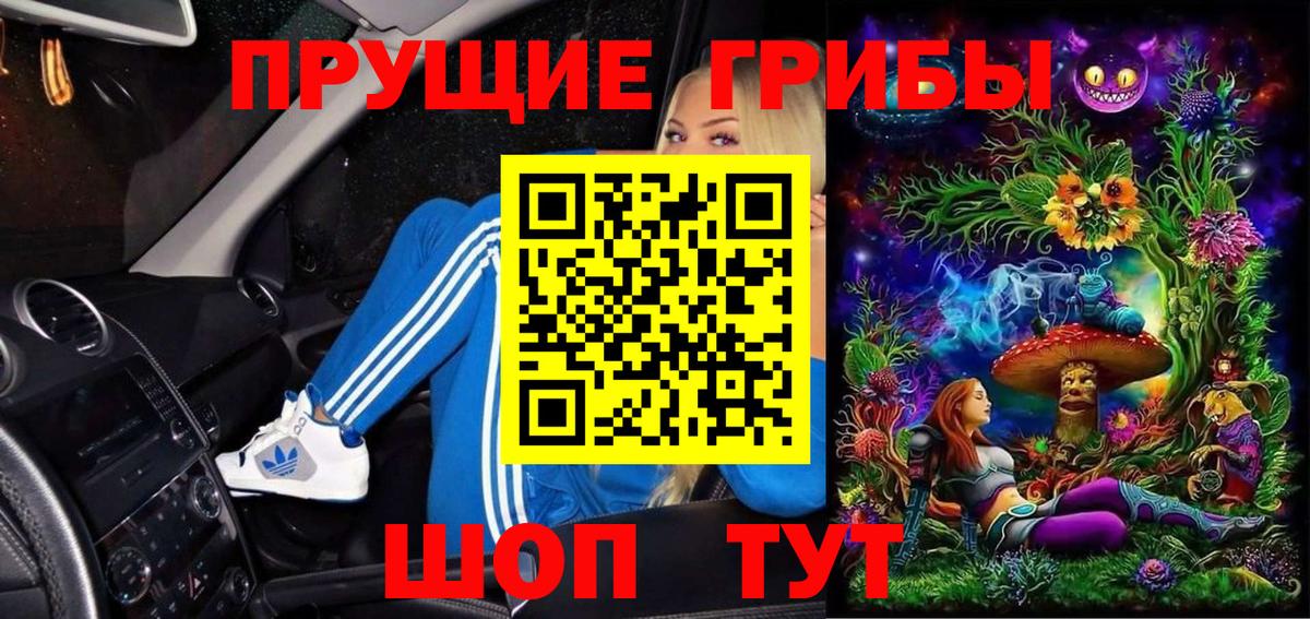 Галлюциногенные грибы Psilocybe  Вход с VPN  Новокузнецк 