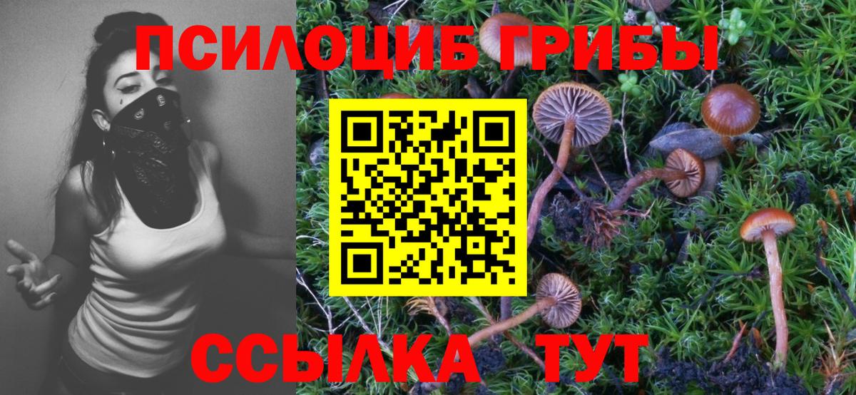 Псилоцибиновые грибы MAGIC MUSHROOMS Новокузнецк